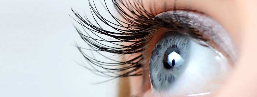 Wimpern